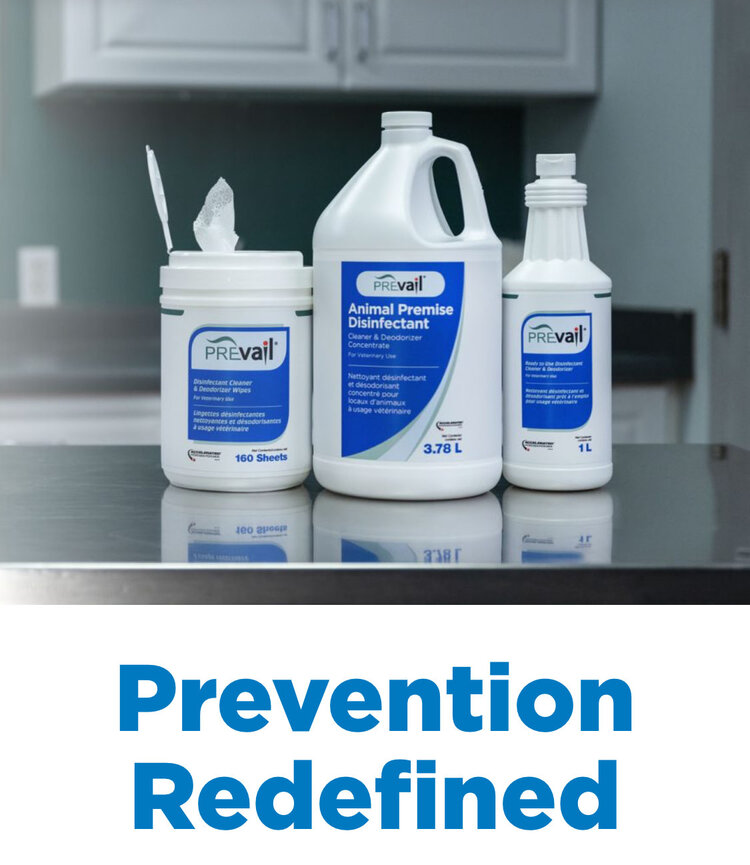 Virox Prevail™ Concentrated Veterinary Disinfectant (3.78L)