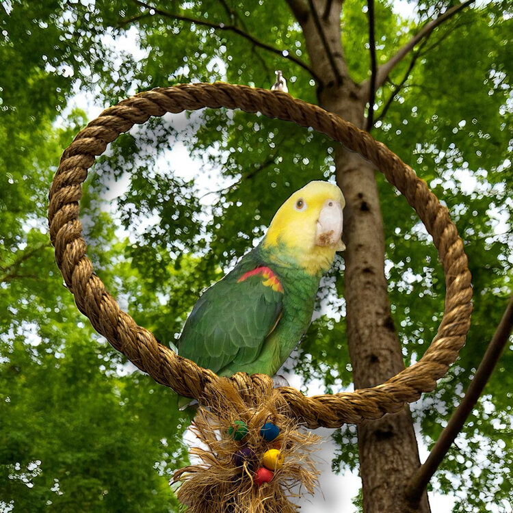 Bonkers Bonkers Natural Manila Swing Large 15”