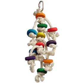 Zoo-Max Zoo-Max MULTIPLE *CD* (H: 8")