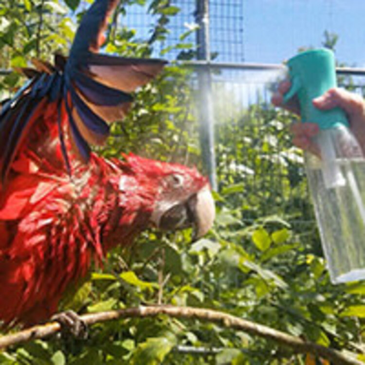Hari HARI FEATHER MISTER – ULTRAFINE CONTINUOUS MISTING BOTTLE FOR ALL PET BIRDS – 500 ML