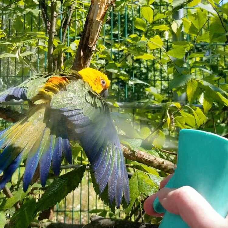 Hari HARI Feather Mister - 500 ml capacity - Teal