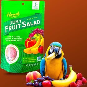 Karen's Naturals Karen's Naturals Just Fruit Salad 2 oz