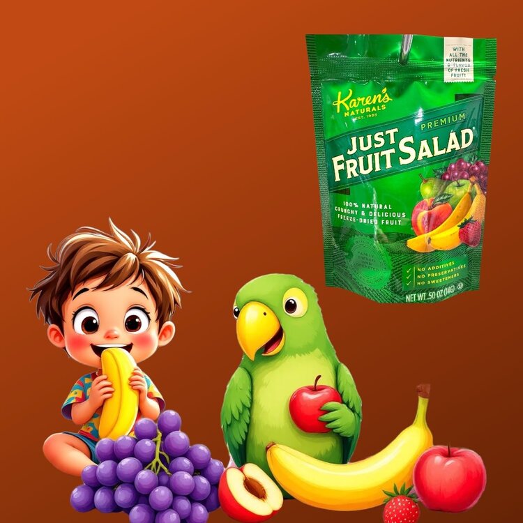 Karen's Naturals Karen's Naturals Just Fruit Salad 1/2 oz Snack Bag