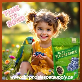 Karen's Naturals Karen's Naturals Just Blueberries 1.8 oz