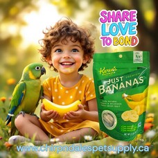 Karen's Naturals Karen's Naturals Just Bananas 2.5 oz