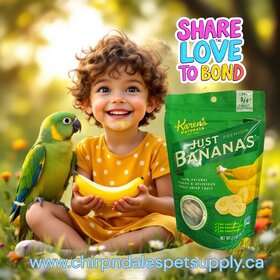 Karen's Naturals Karen's Naturals Just Bananas 2.5 oz