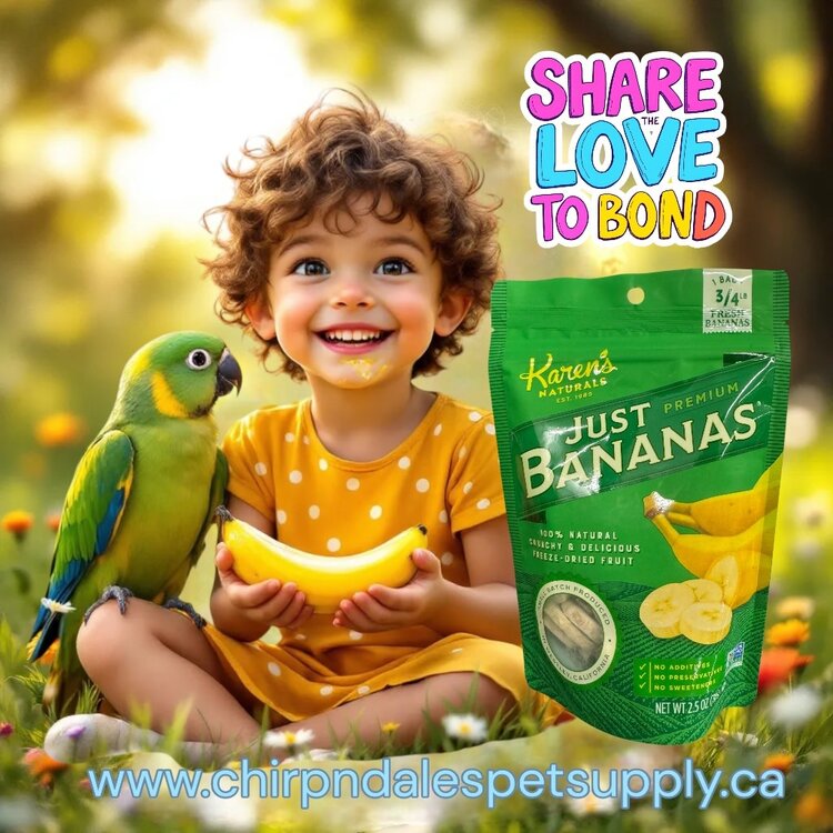 Karen's Naturals Karen's Naturals Just Bananas 2.5 oz