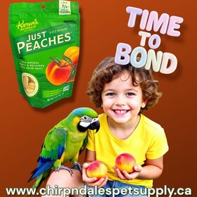 Karen's Naturals Karen's  Naturals Just Peaches 1.2 oz