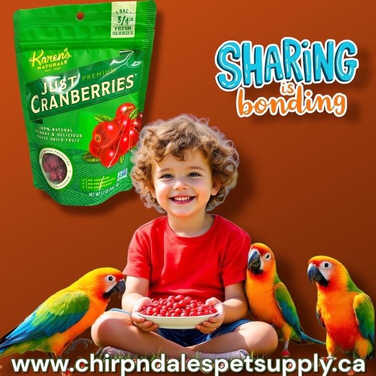 Karen's Naturals Karen's  Naturals Just Cranberries 1.2 oz