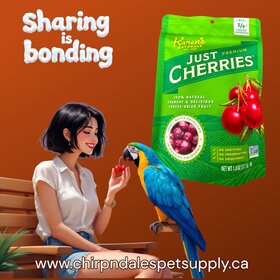 Karen's Naturals Karen's Naturals Just Cherries 1.8 oz