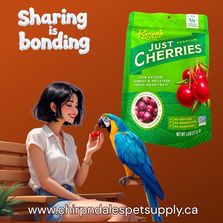 Karen's Naturals Karen's Naturals Just Cherries 1.8 oz