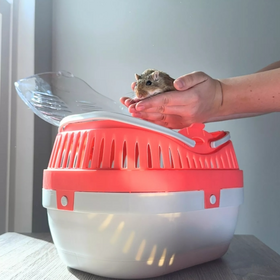 trixie TRIXIE Transport Box, Pico 30 × 21 × 23 cm (Assorted Colors)