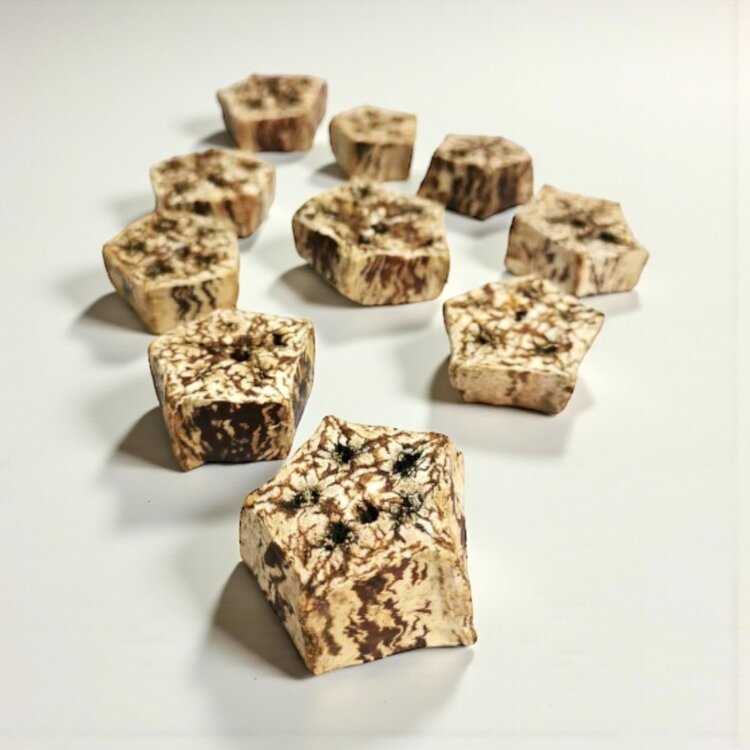 Glitter Pets Mahogany Pod Slices 10 pack