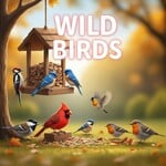 WILD BIRDS