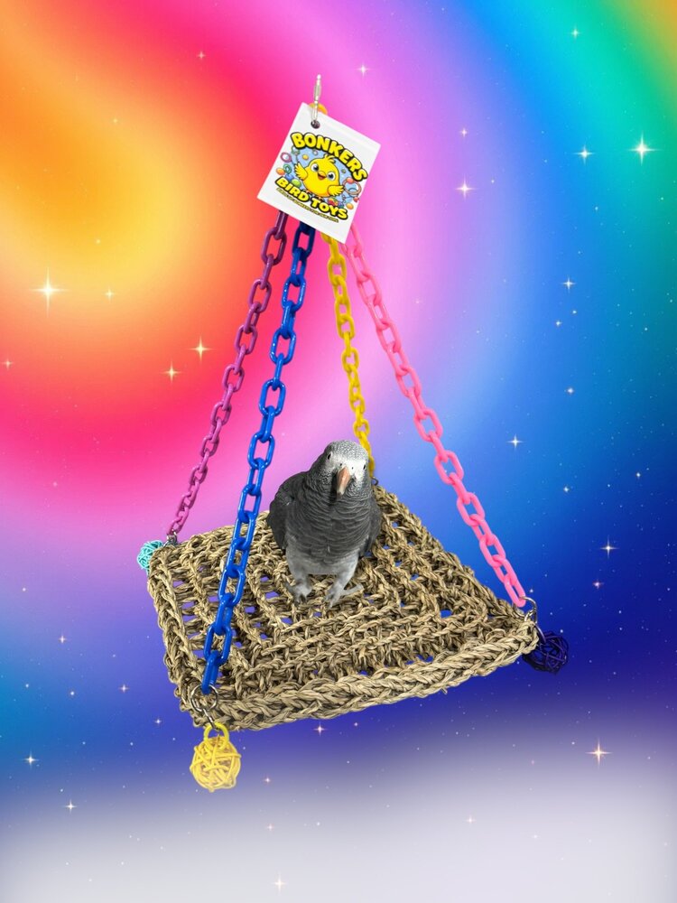 Bonkers Large Seagrass Swing 10 x 10 x 16”