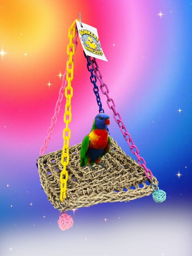 Bonkers Bonkers Large Seagrass Swing 10 x 10 x 16”