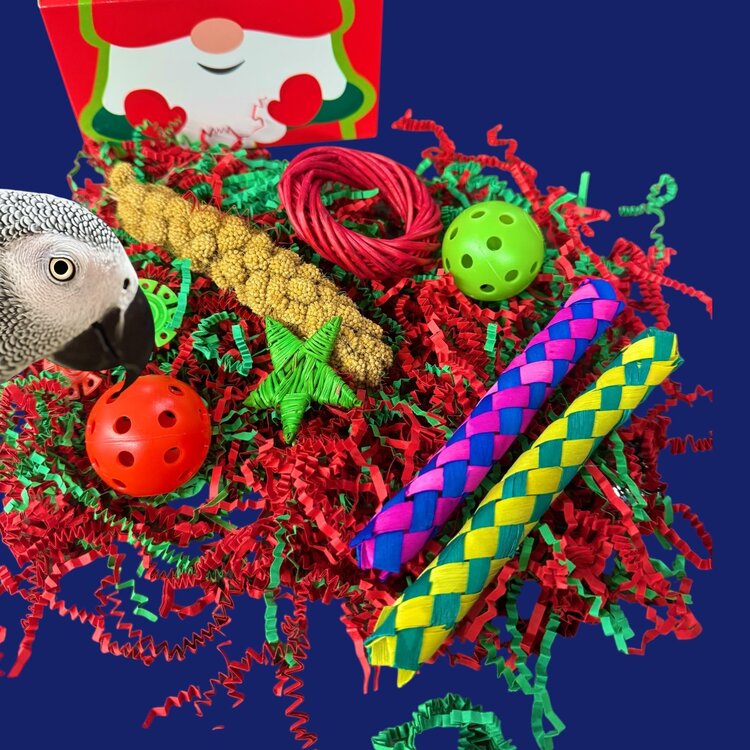 Bonkers Christmas Surprise Box