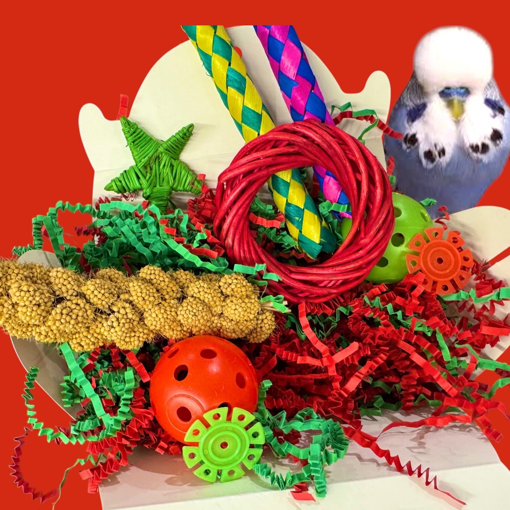 Bonkers Christmas Surprise Box