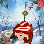 Bonkers Christmas Surprise Box