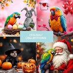 HOLIDAY COLLECTIONS