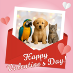 VALENTINES COLLECTION