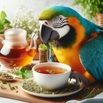 TEAS/TOPPERS/FORAGING MIX