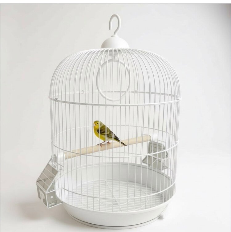 Cage Cassis For Budgies/Finches/Canaries 33x33x56 cm White
