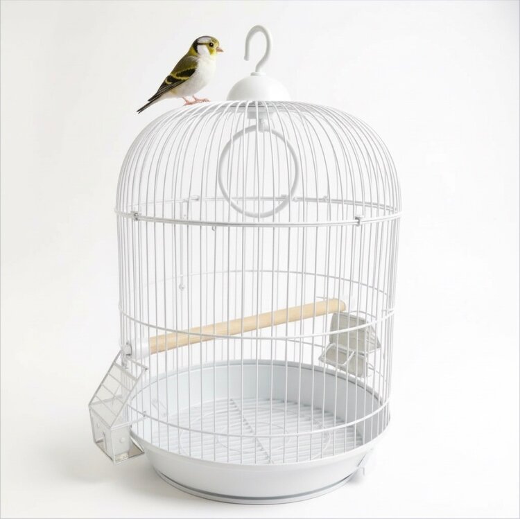 Cage Cassis For Budgies/Finches/Canaries 33x33x56 cm White
