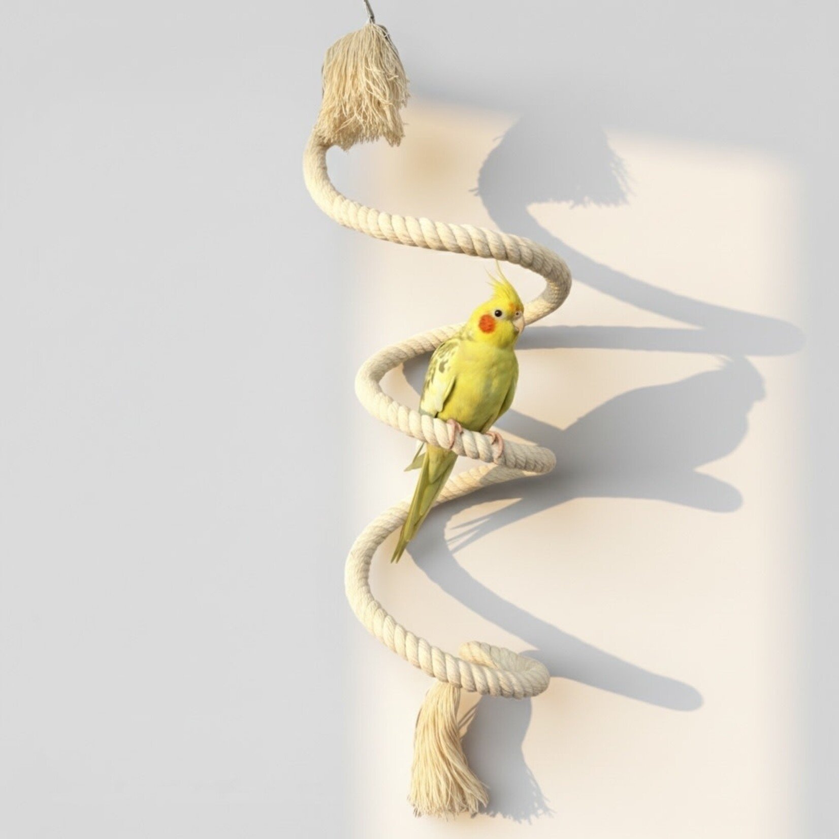 Bonkers Bonkers Cotton Boing 1/2" x 36"