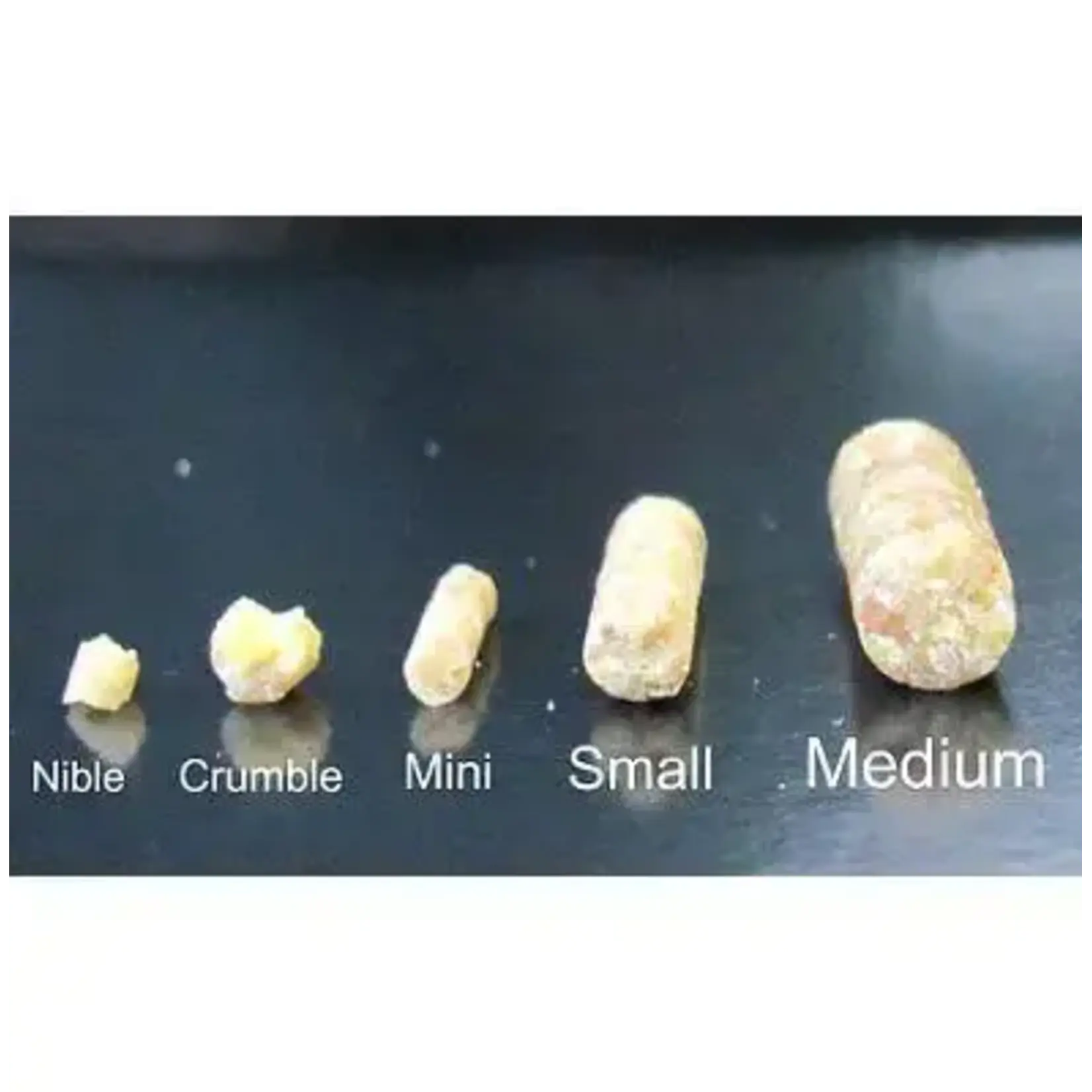 Roudybush Roudybush High Energy Breeder Medium 10 lb