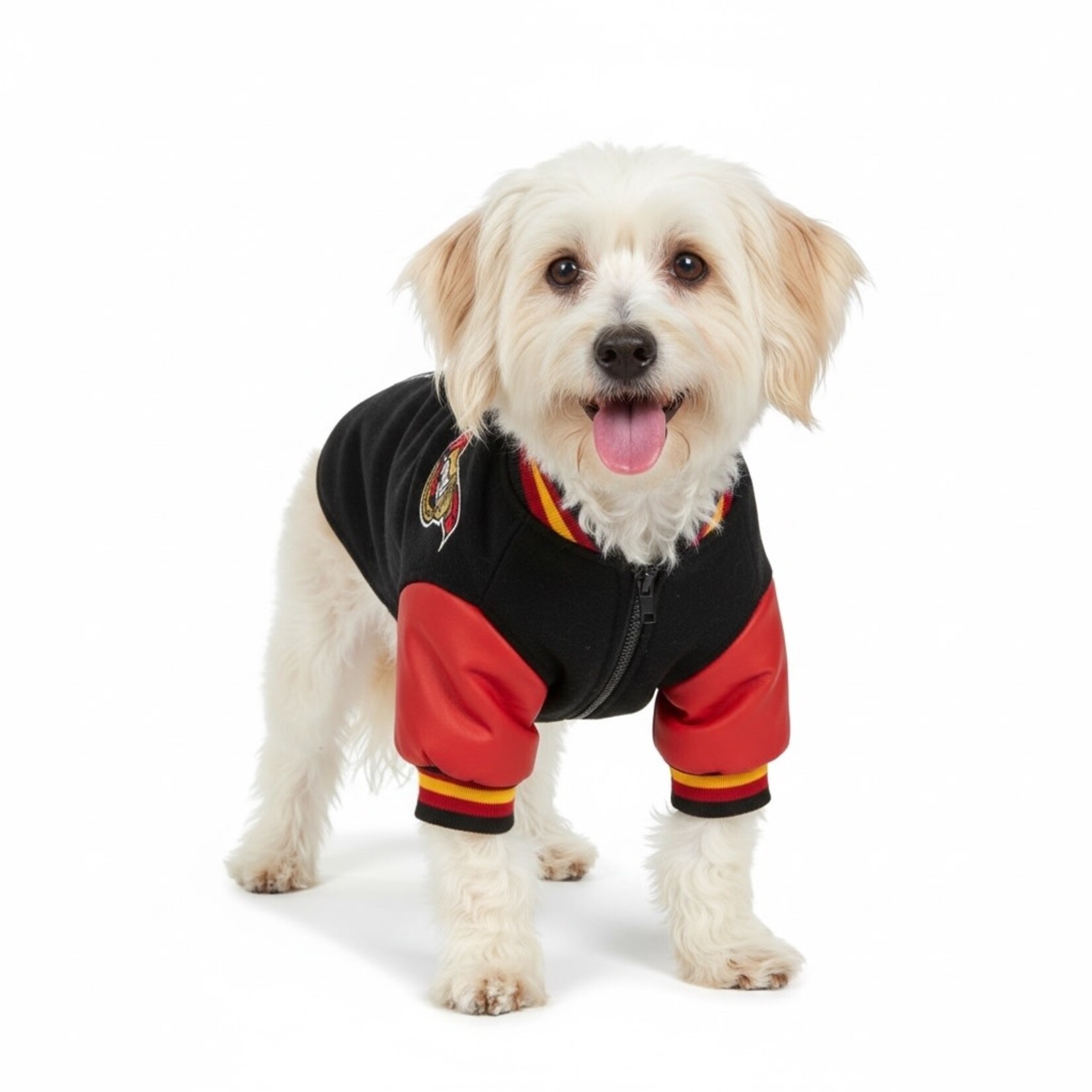 Karsun Karsun NHL Ottawa Senators Dog Jacket Small 14-16”