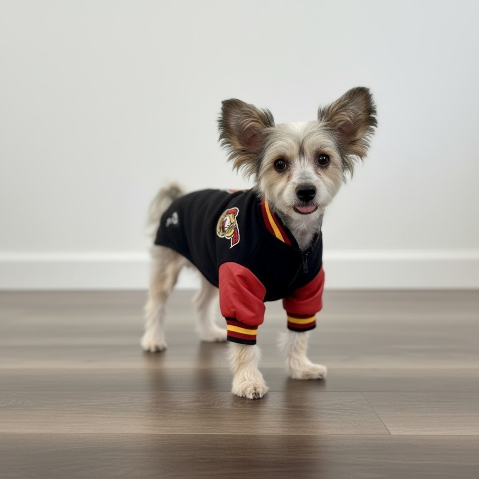 Karsun Karsun NHL Ottawa Senators Dog Jacket Small 14-16”