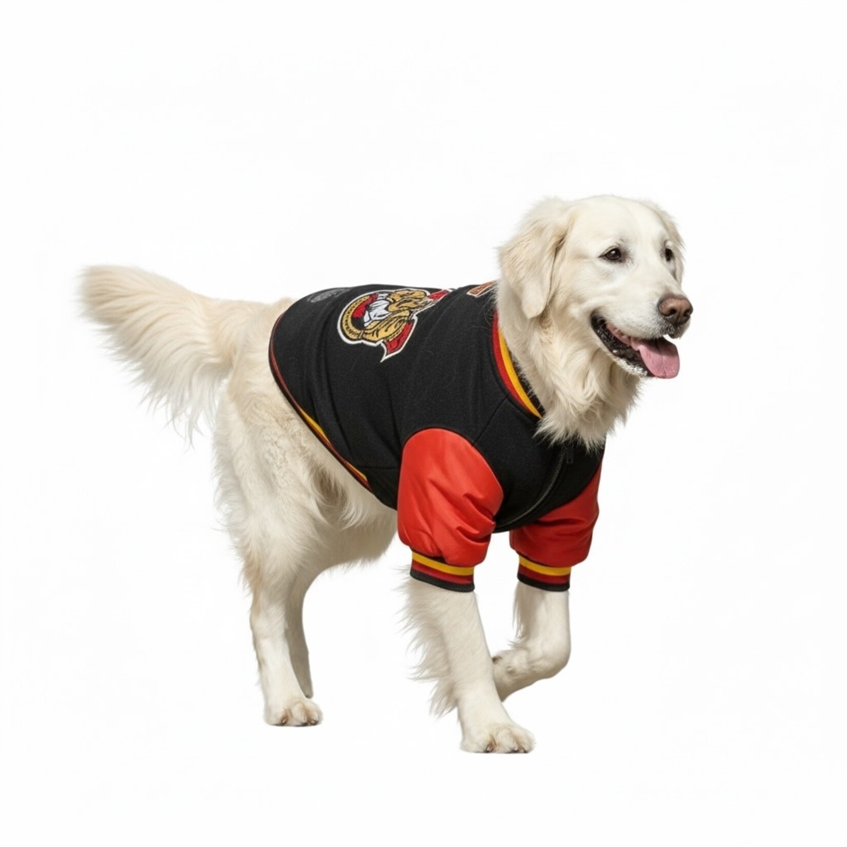 Karsun Karsun NHL Ottawa Senators Dog Jacket Small 14-16”