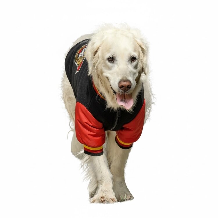 Karsun Karsun NHL Ottawa Senators Dog Jacket Medium