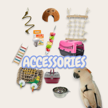 ACCESSORIES