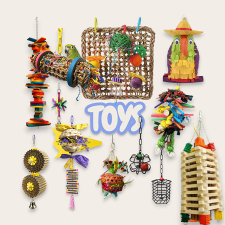  TOYS