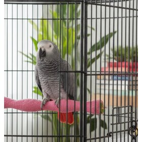 GP Pedicure Perch Large