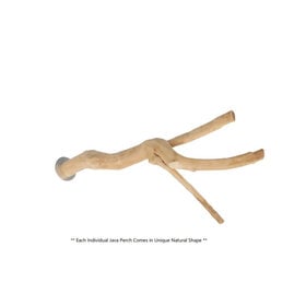 Jolly Jungle JOLLY JUNGLE JAVA WOOD MULTI BRANCH PERCH (A1157S)
