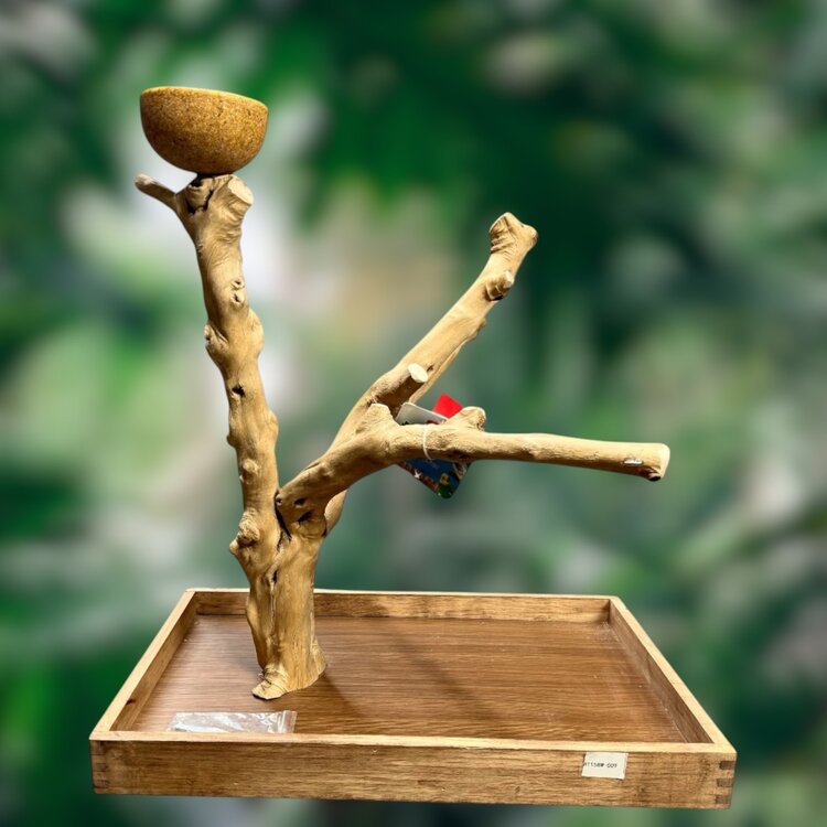 Jolly Jungle JOLLY JUNGLE  TABLE TOP JAVA TREE (1158M-009)
