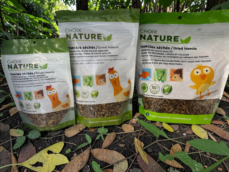 CHOIX NATURE CHOIX NATURE DRIED BLACK SOLDIER FLY LARVAE TREATS