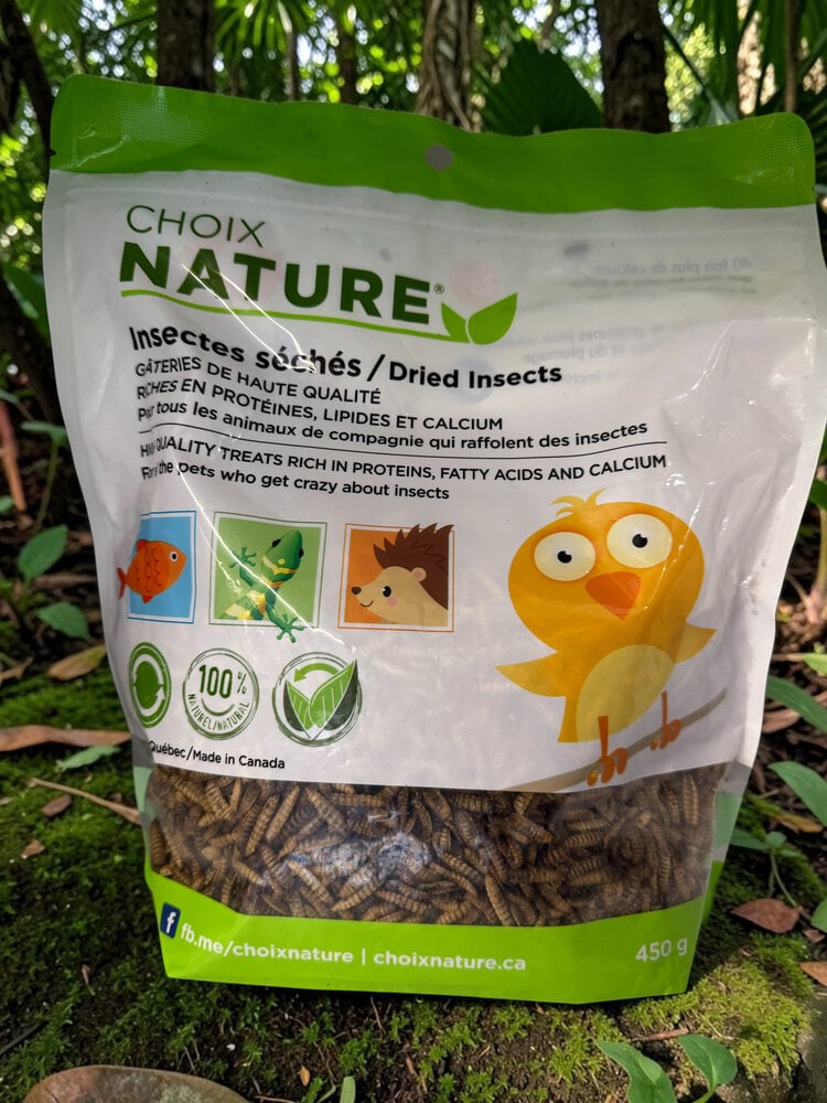 CHOIX NATURE CHOIX NATURE DRIED BLACK SOLDIER FLY LARVAE TREATS