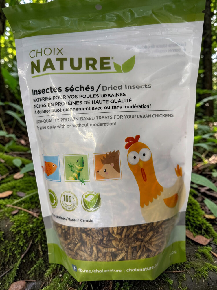 CHOIX NATURE CHOIX NATURE DRIED BLACK SOLDIER FLY LARVAE TREATS