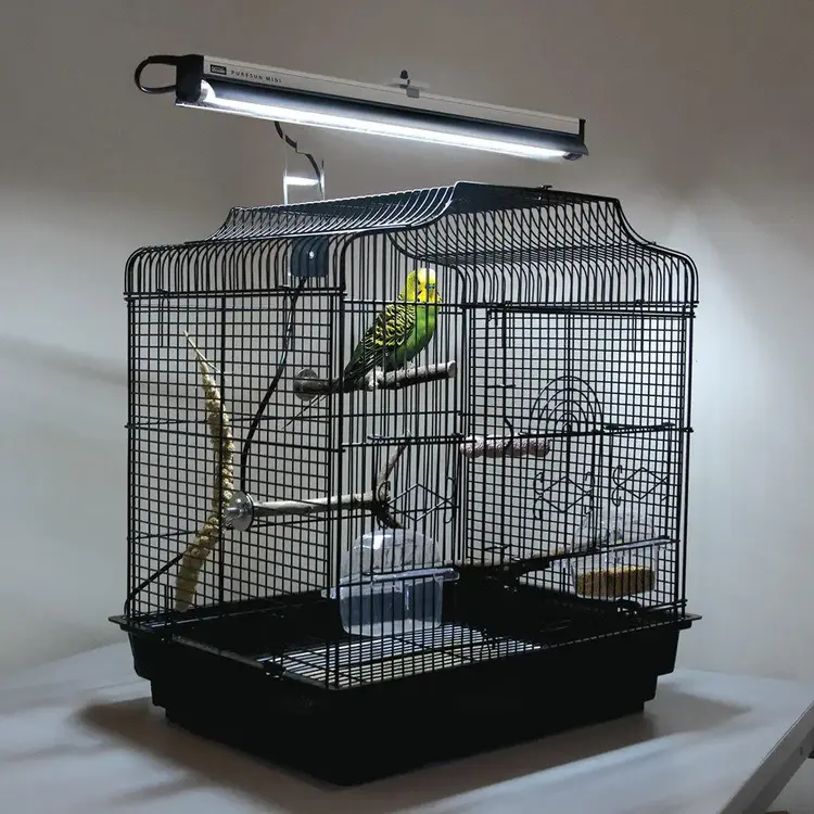 Arcadia Arcadia Bird PureSun MIDI 2.4% UVB 14W 22"