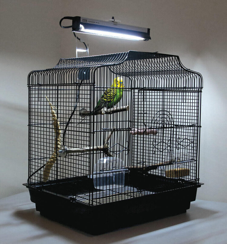 Arcadia Arcadia Bird PureSun Mini Complete Full Spectrum + 2.4% UVB Lighting Kit 8W