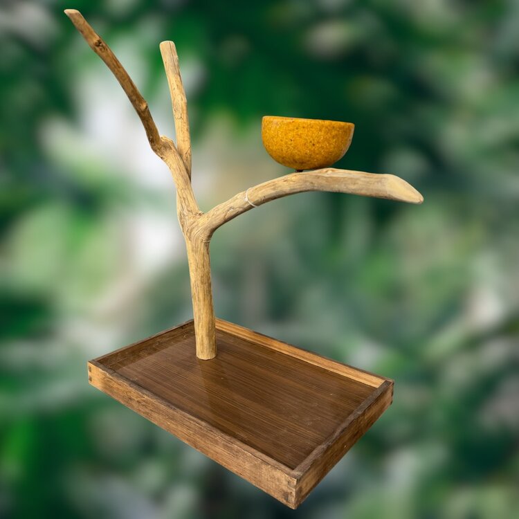 Jolly Jungle JOLLY JUNGLE  TABLE TOP JAVA TREE (1158S-015)
