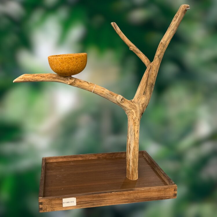 Jolly Jungle JOLLY JUNGLE  TABLE TOP JAVA TREE (1158S-015)