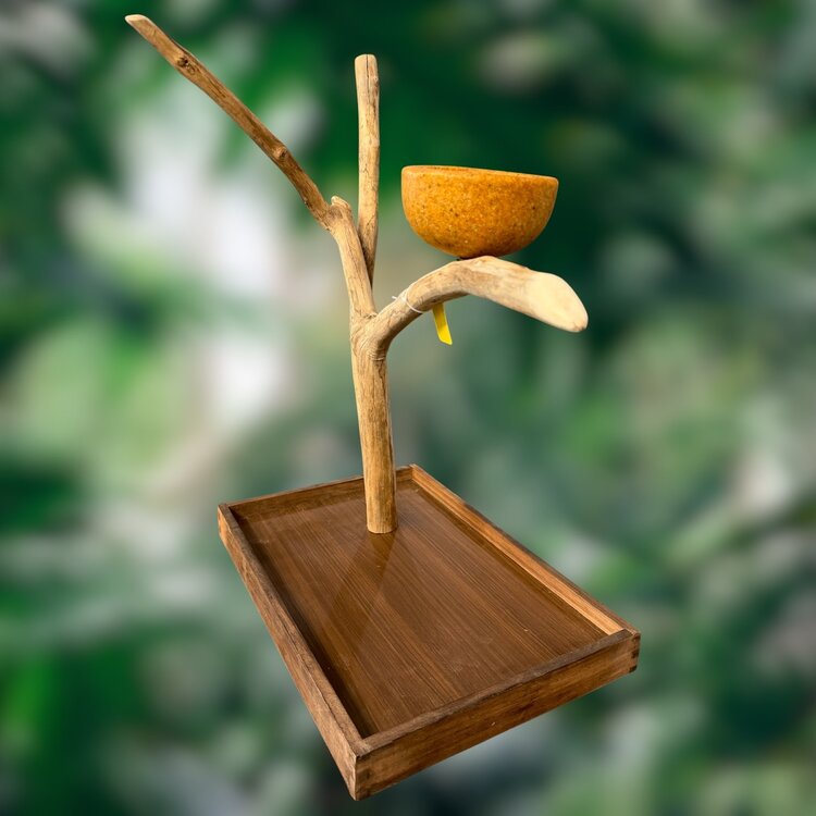 Jolly Jungle JOLLY JUNGLE  TABLE TOP JAVA TREE (1158S-015)