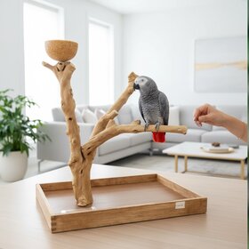 Jolly Jungle JOLLY JUNGLE  TABLE TOP JAVA TREE (1158M-009)