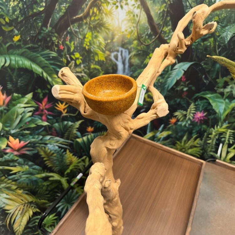 Jolly Jungle JOLLY JUNGLE  TABLE TOP JAVA TREE (1158L-005)