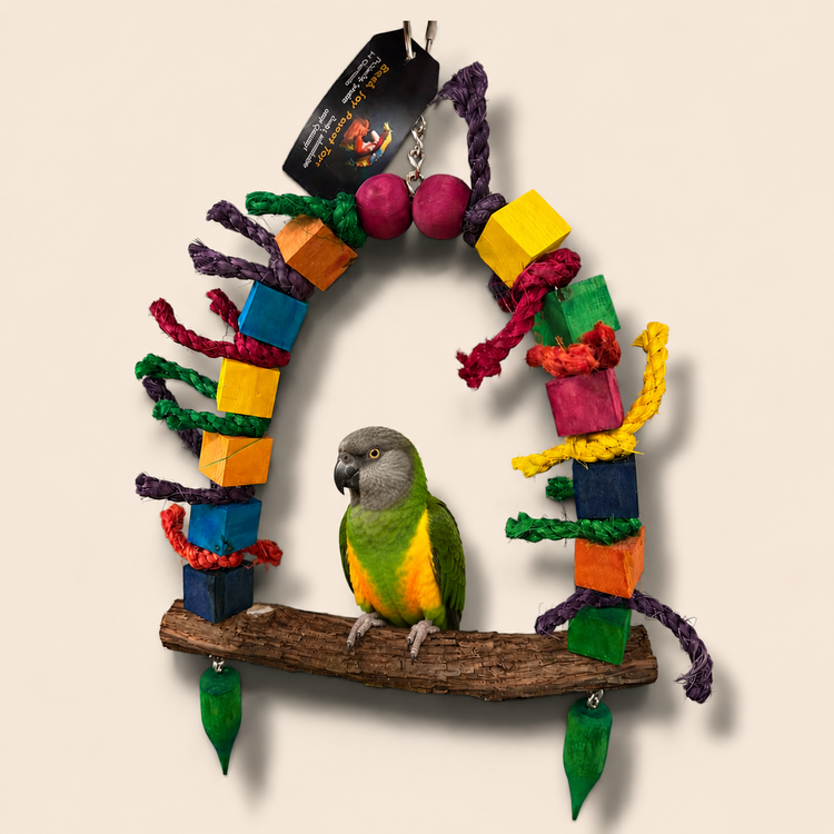 Beak Joy Parrot Toys ALL NATURAL HANDMADE WOOD PARROT SWING 10" x 14" FOR MEDIUM PARROTS – MADE IN CANADA